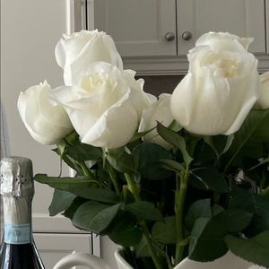 Meet your Posher, Lia